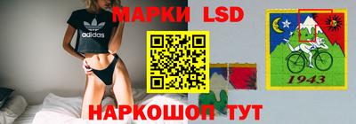 мдпв Новозыбков
