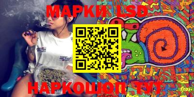 мдпв Новозыбков