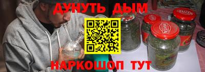 мдпв Новозыбков