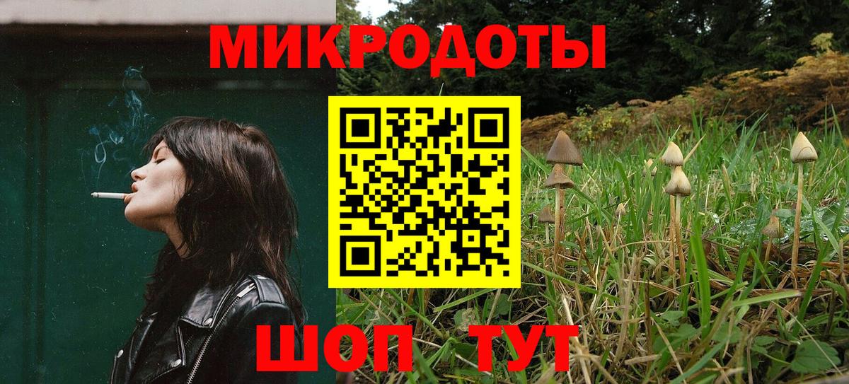 Галлюциногенные грибы Psilocybe  Галлюциногенные грибы прущие грибы  Новокузнецк  Вход с VPN 